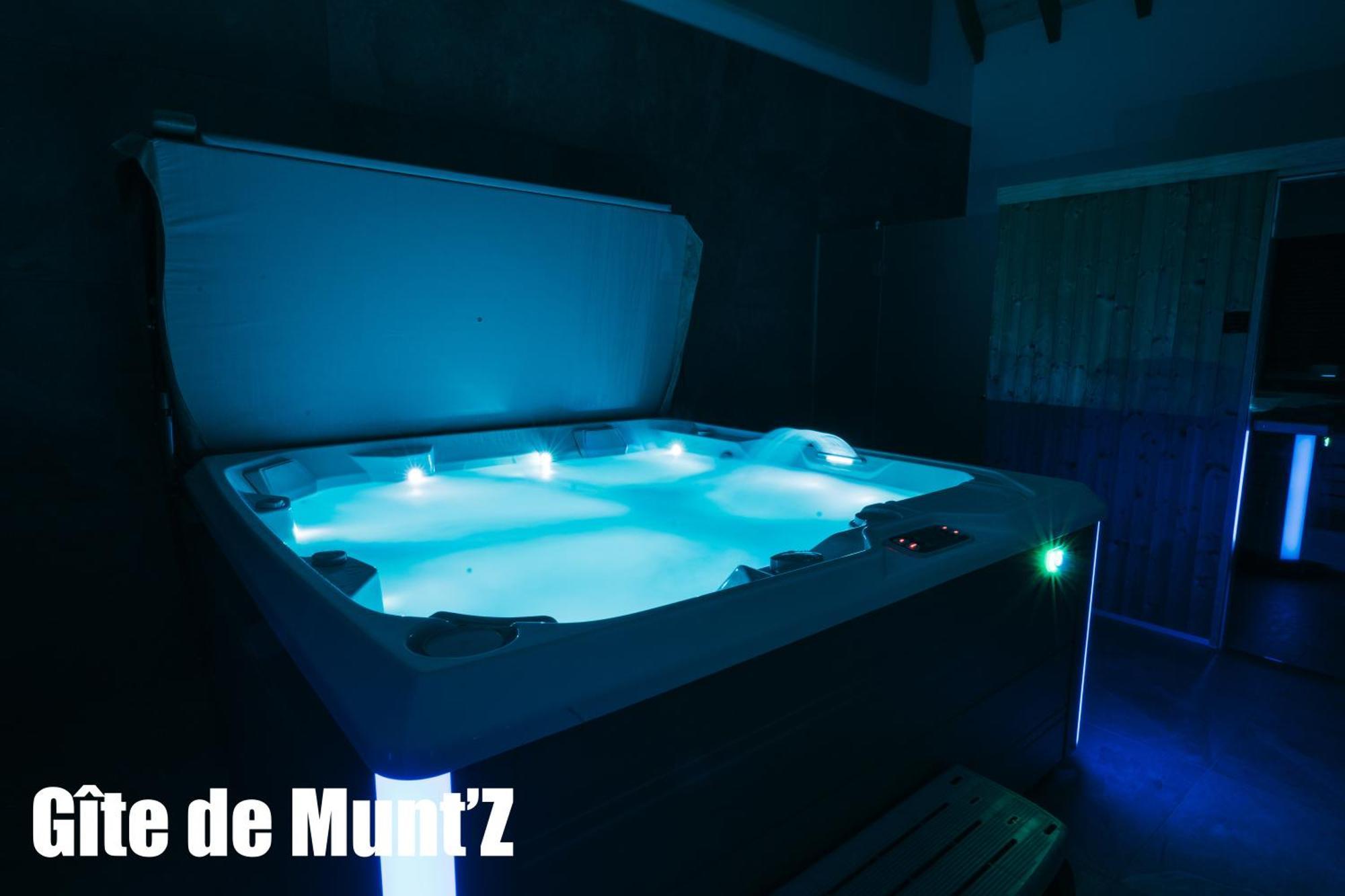 Gite De Munt'Z Spa, Sauna, Piscine, Proche De Colmar Muntzenheim Eksteriør bilde